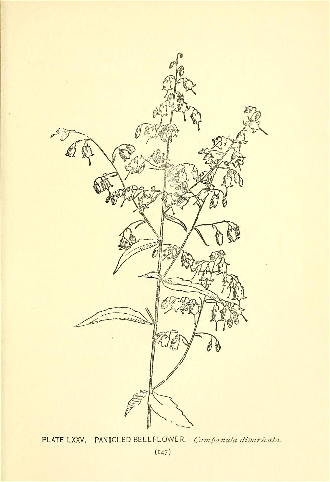 n230_w1150