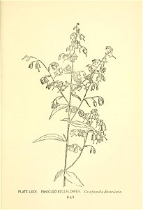 n230_w1150
