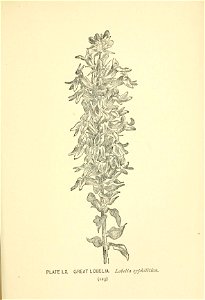 n194_w1150