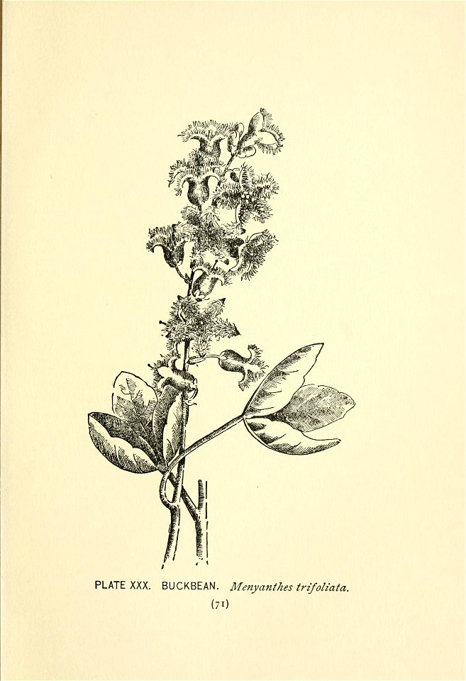 n114_w1150