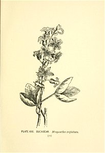 n114_w1150