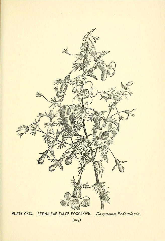 n342_w1150
