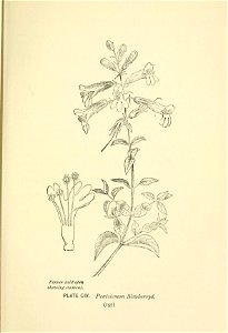 n298_w1150