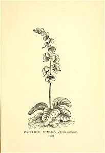 n258_w1150