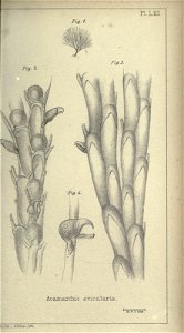 n382_w1150