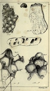 n172_w1150