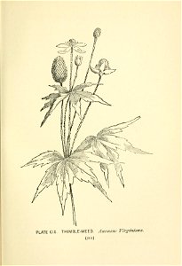 n316_w1150