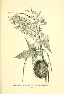 n168_w1150