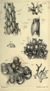 n158_w1150