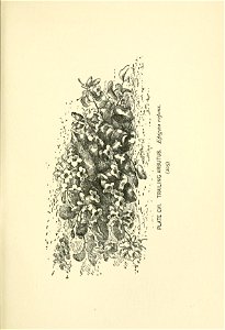 n308_w1150