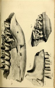 n446_w1150