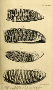 n134_w1150