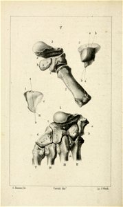 n127_w1150
