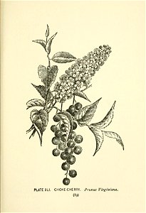 n144_w1150