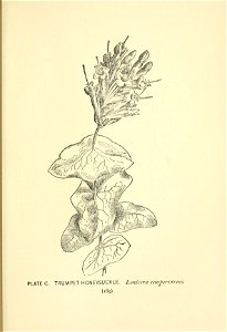 n290_w1150