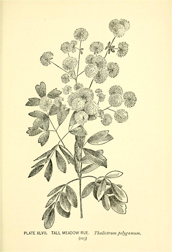 n164_w1150