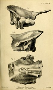 n468_w1150