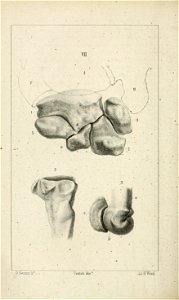n165_w1150