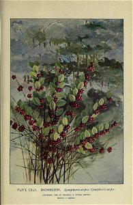 n398_w1150