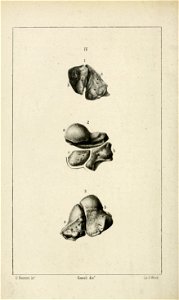 n111_w1150