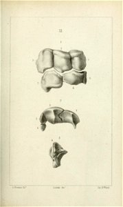 n212_w1150
