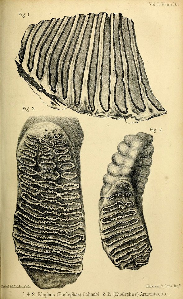 n282_w1150