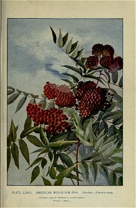 n208_w1150