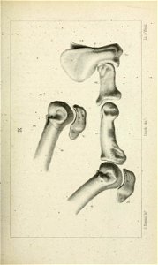 n178_w1150
