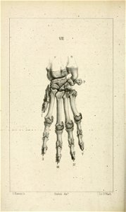 n169_w1150