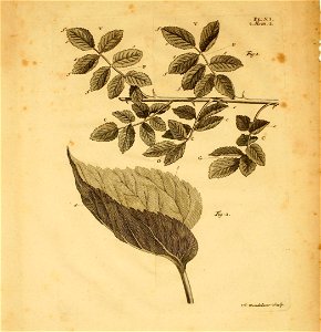 n378_w1150