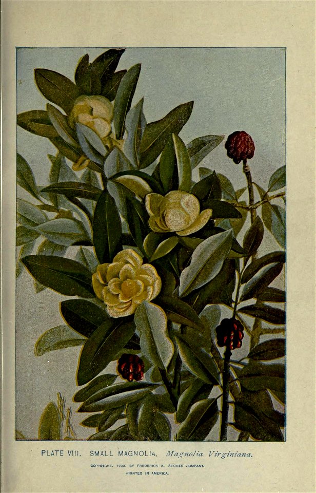 n68_w1150