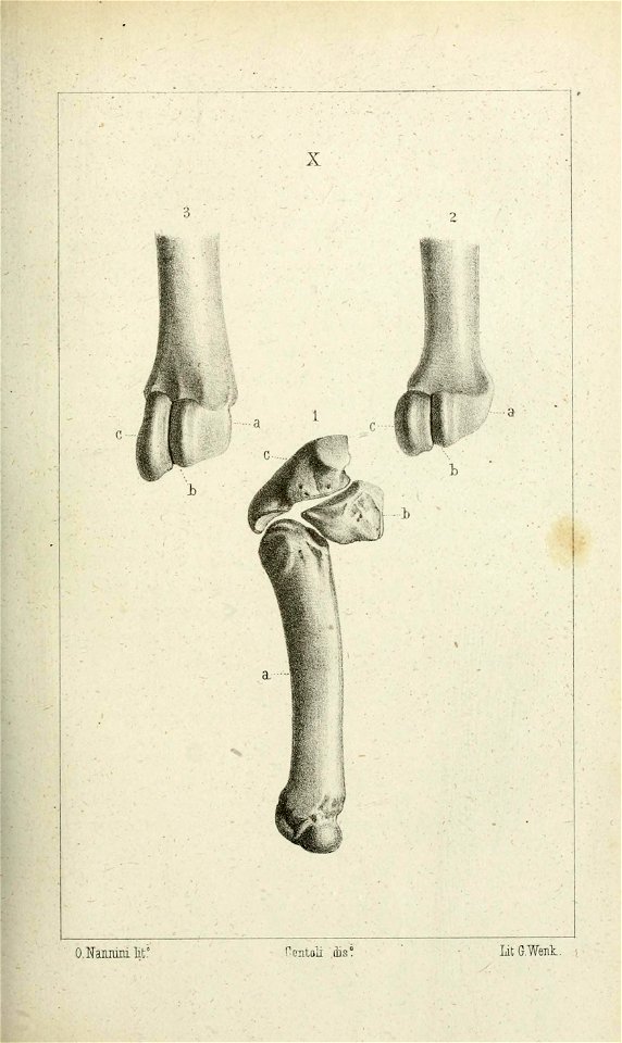 n196_w1150