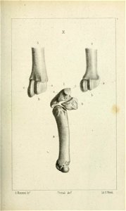 n196_w1150