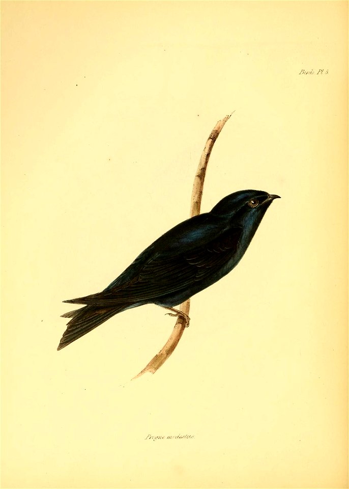 n69_w1150
