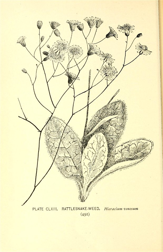 n587_w1150