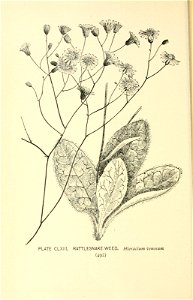 n587_w1150