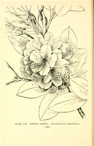 n449_w1150