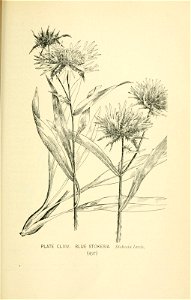 n592_w1150
