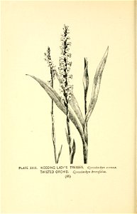 n139_w1150