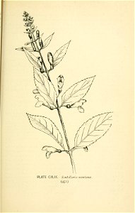 n536_w1150