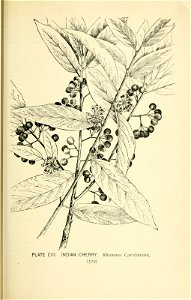 n394_w1150