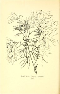 n179_w1150