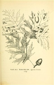 n176_w1150