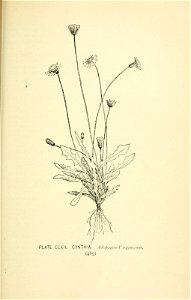 n584_w1150
