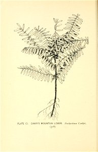 n383_w1150