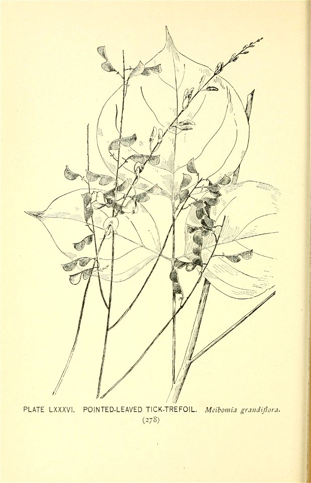 n341_w1150