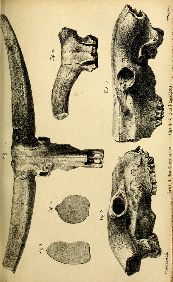 n426_w1150
