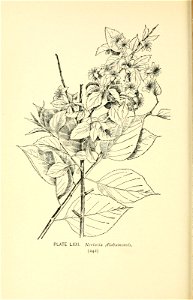 n299_w1150