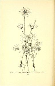 n233_w1150