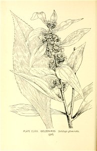 n605_w1150
